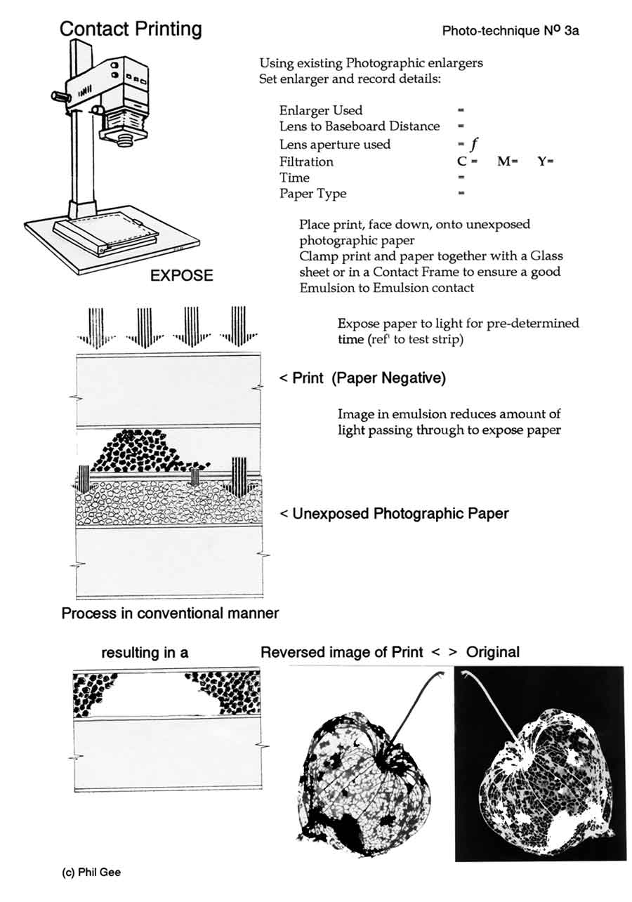 Contact print Work Sheet © Phil Gee