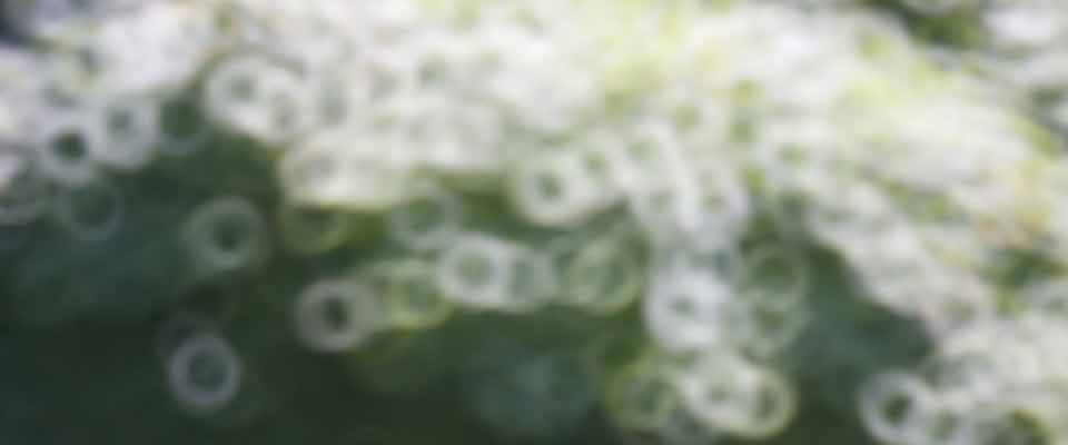 Mirror Lens © Phil Gee