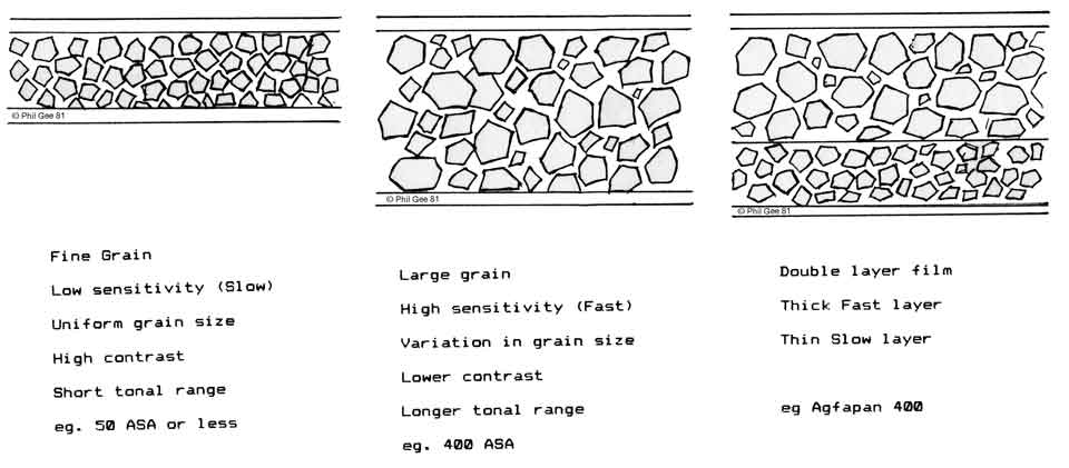 Grain Size © Phil Gee