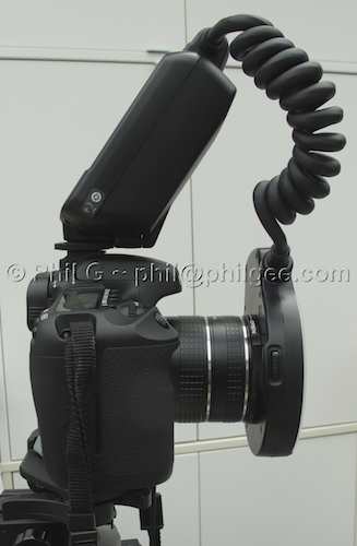 Ext Tubes + 3§mm and Ring Flash© Phil Gee