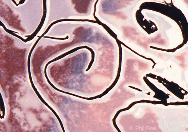 Photo Batik © Phil Gee